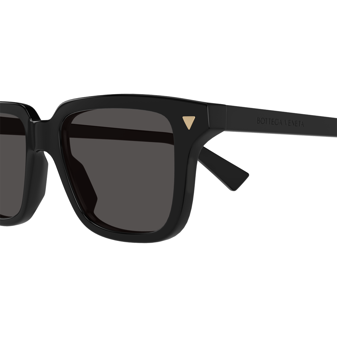 BV10163S-001