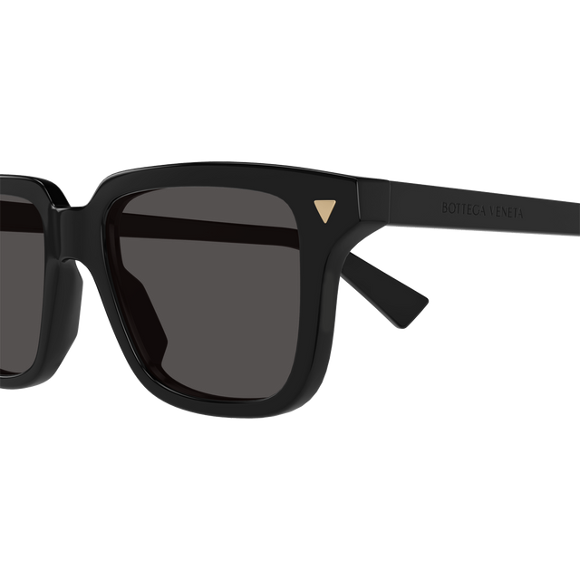 BV10163S-001