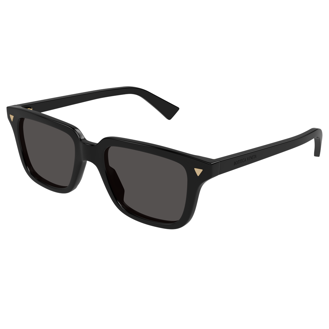 BV10163S-001