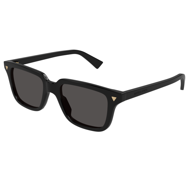 BV10163S-001