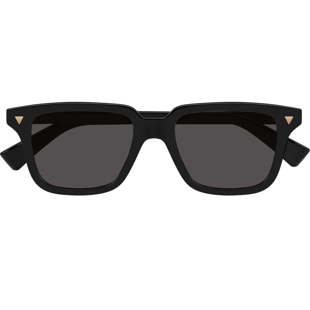 BV10163S-001